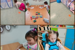 Pszczolki-wykonuja-prace-.