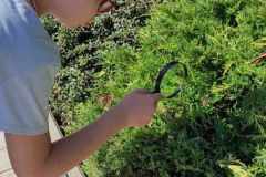 michalina-patrzy-przez-lupe-1