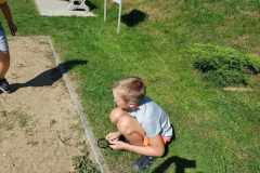 obserwacja-mrowek-w-piasku