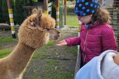 wycieczka-do-piotrowka-11