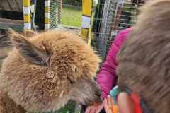 wycieczka-do-piotrowka-6