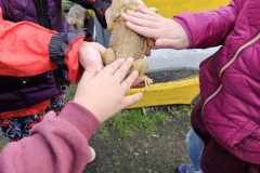 wycieczka-do-piotrowka-9