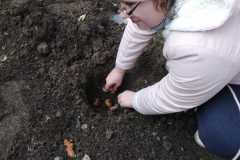 Pola-nadziei-sadzmy-zonkile-3