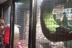 wycieczka-SIRUVIA-36