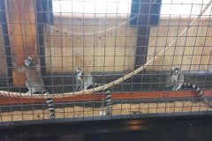 wycieczka-SIRUVIA-37-scaled