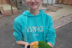 Wyjazd-do-Karpacza-10