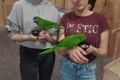 Wyjazd-do-Karpacza-14